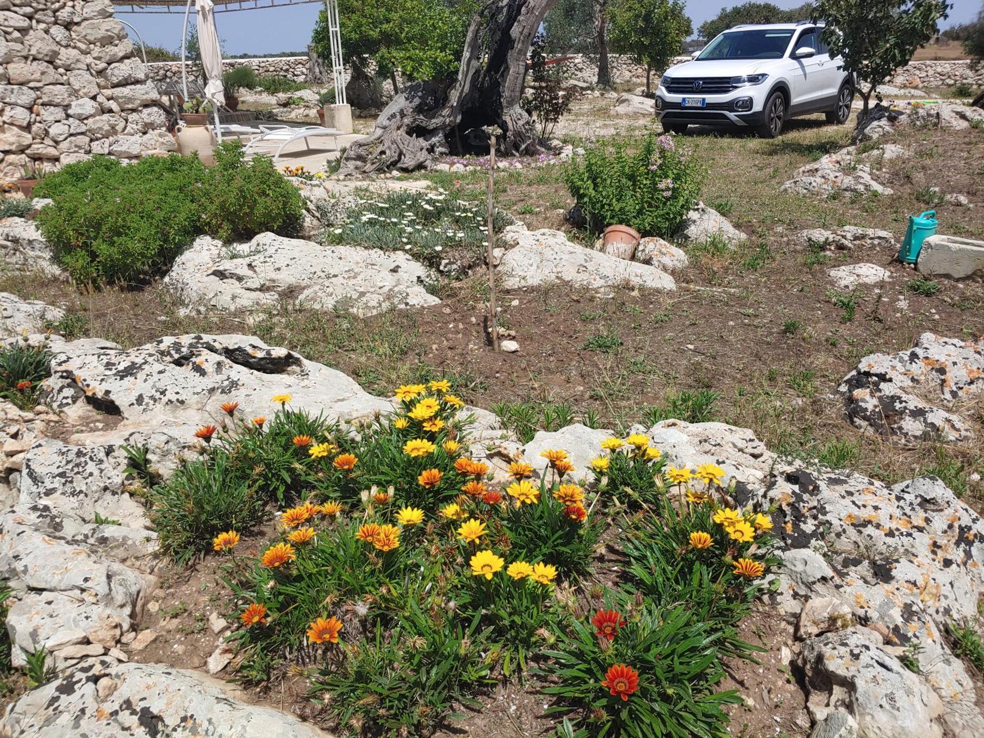 Appartement La Nicchia-Trullo à Corigliano dʼOtranto Extérieur photo